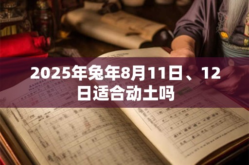 2025年兔年8月11日、12日适合动土吗