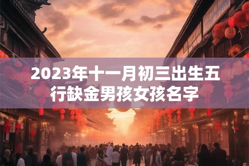2023年十一月初三出生五行缺金男孩女孩名字