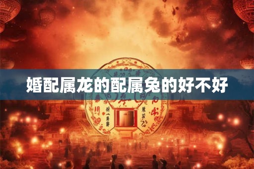 婚配属龙的配属兔的好不好