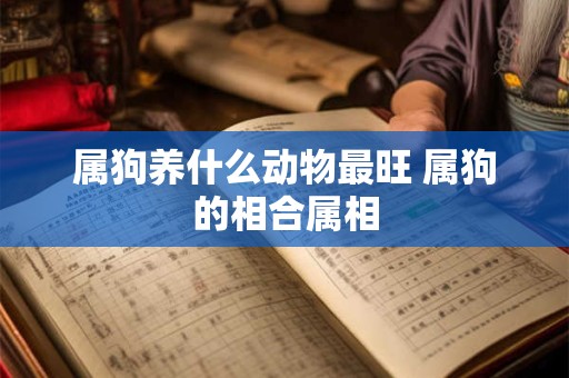 属狗养什么动物最旺 属狗的相合属相