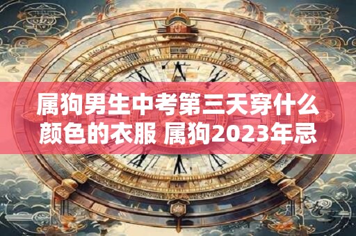 属狗男生中考第三天穿什么颜色的衣服 属狗2023年忌讳色