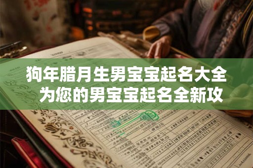 狗年腊月生男宝宝起名大全  为您的男宝宝起名全新攻略