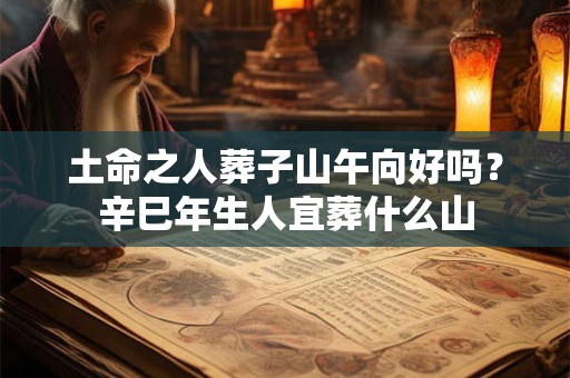 土命之人葬子山午向好吗?辛巳年生人宜葬什么山 土命之人葬子山午向好吗?辛巳年生人宜葬什么山
