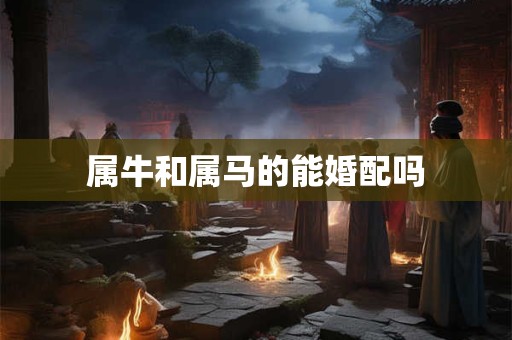 属牛和属马的能婚配吗