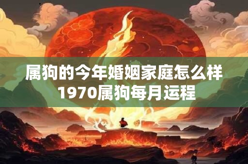 属狗的今年婚姻家庭怎么样 1970属狗每月运程