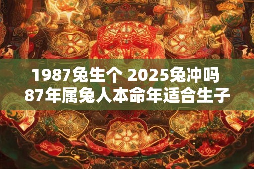 1987兔生个 2025兔冲吗 87年属兔人本命年适合生子吗