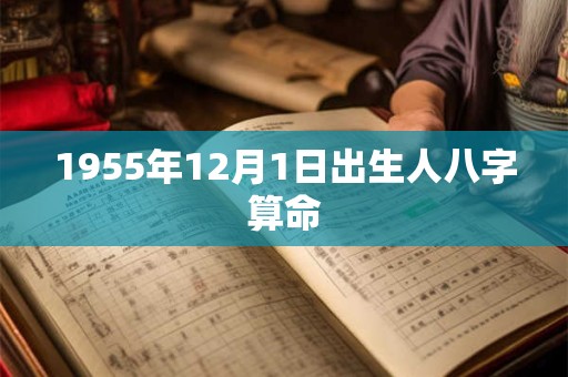 1955年12月1日出生人八字算命