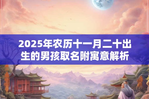 2025年农历十一月二十出生的男孩取名附寓意解析