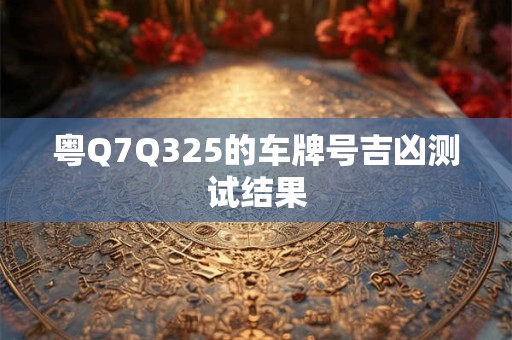 粤Q7Q325的车牌号吉凶测试结果