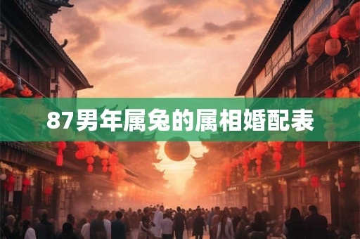 87男年属兔的属相婚配表