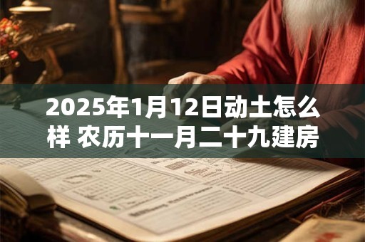 2025年1月12日动土怎么样 农历十一月二十九建房合适吗