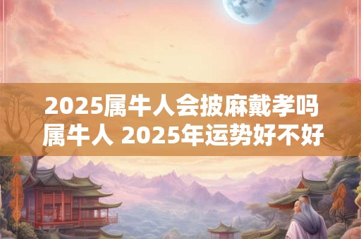 2025属牛人会披麻戴孝吗 属牛人 2025年运势好不好