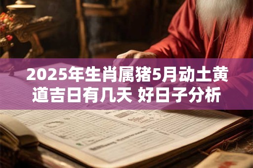 2025年生肖属猪5月动土黄道吉日有几天 好日子分析