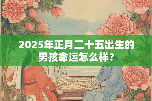 2025年正月二十五出生的男孩命运怎么样？