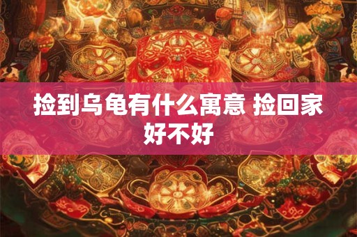 捡到乌龟有什么寓意 捡回家好不好