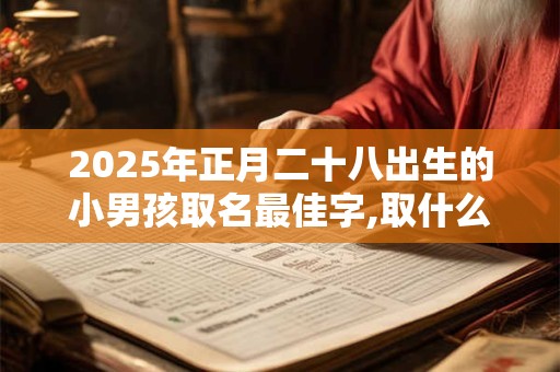 2025年正月二十八出生的小男孩取名最佳字,取什么名字好