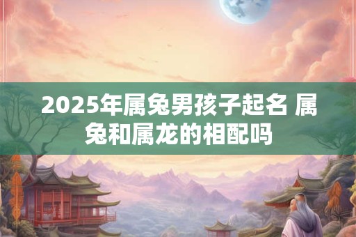 2025年属兔男孩子起名 属兔和属龙的相配吗