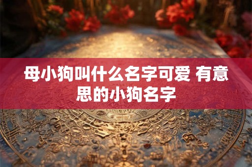 母小狗叫什么名字可爱 有意思的小狗名字
