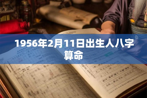 1956年2月11日出生人八字算命