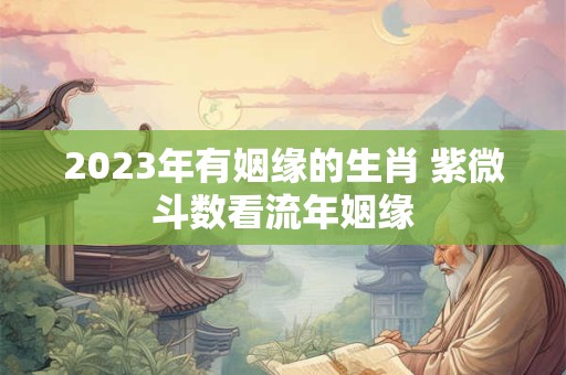 2023年有姻缘的生肖 紫微斗数看流年姻缘