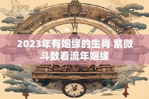 2023年有姻缘的生肖 紫微斗数看流年姻缘