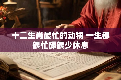 十二生肖最忙的动物 一生都很忙碌很少休息
