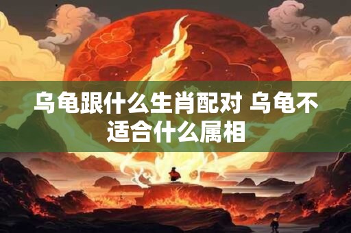 乌龟跟什么生肖配对 乌龟不适合什么属相