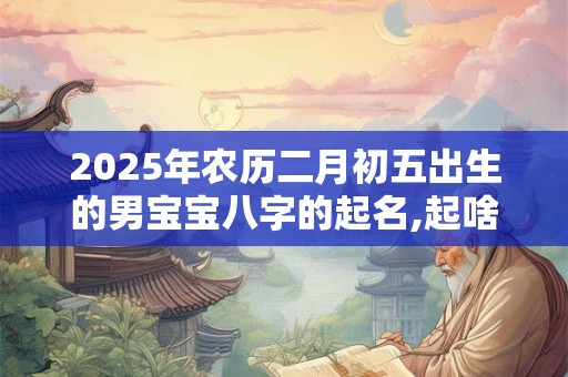 2025年农历二月初五出生的男宝宝八字的起名,起啥名字比较吉利