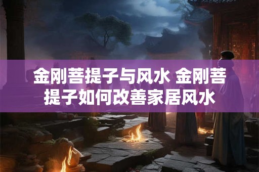 金刚菩提子与风水 金刚菩提子如何改善家居风水