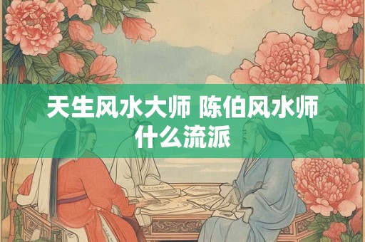 天生风水大师 陈伯风水师什么流派 天生风水大师 陈伯风水师什么流派