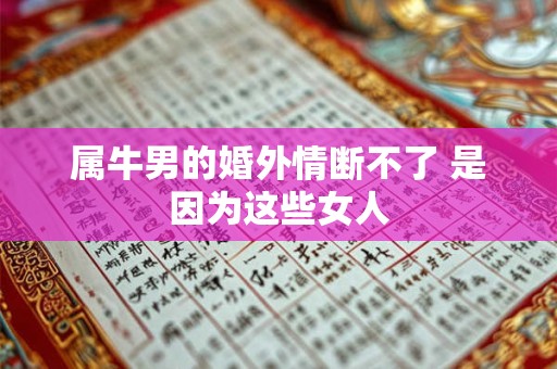 属牛男的婚外情断不了 是因为这些女人