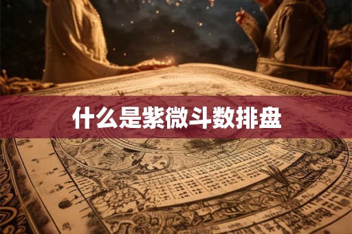 什么是紫微斗数排盘