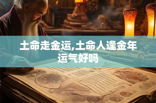 土命走金运,土命人逢金年运气好吗