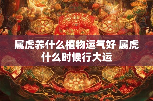 属虎养什么植物运气好 属虎什么时候行大运