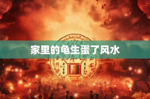 家里的龟生蛋了风水