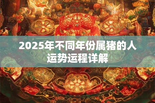 2025年不同年份属猪的人运势运程详解