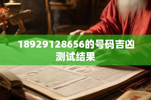 18929128656的号码吉凶测试结果