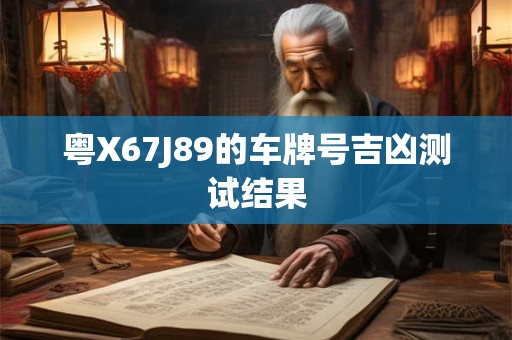 粤X67J89的车牌号吉凶测试结果