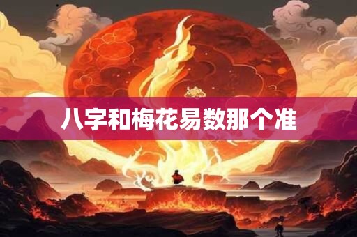 八字和梅花易数那个准