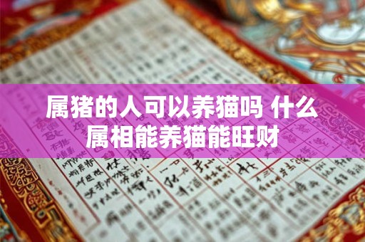 属猪的人可以养猫吗 什么属相能养猫能旺财