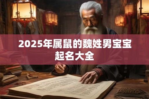 2025年属鼠的魏姓男宝宝起名大全 2025年属鼠的魏姓男宝宝起名大全