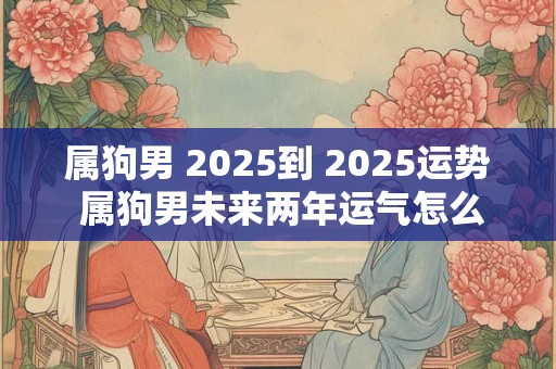 属狗男 2025到 2025运势 属狗男未来两年运气怎么样