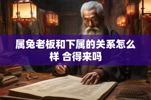 属兔老板和下属的关系怎么样 合得来吗