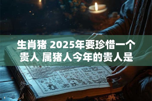 生肖猪 2025年要珍惜一个贵人 属猪人今年的贵人是谁
