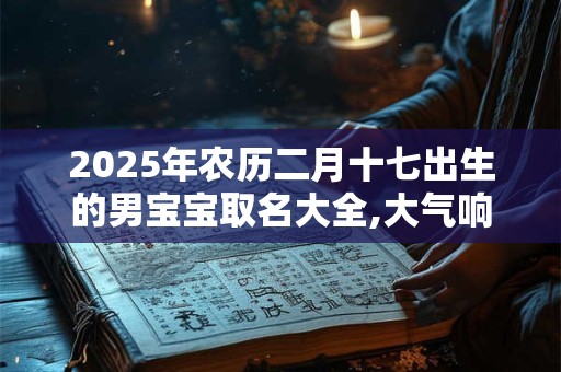 2025年农历二月十七出生的男宝宝取名大全,大气响亮的