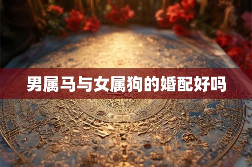 男属马与女属狗的婚配好吗