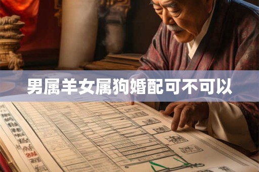 男属羊女属狗婚配可不可以