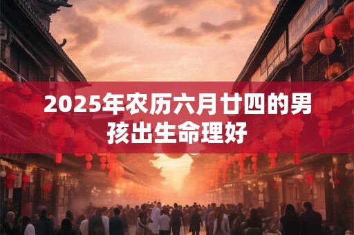 2025年农历六月廿四的男孩出生命理好