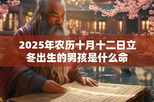 2025年农历十月十二日立冬出生的男孩是什么命