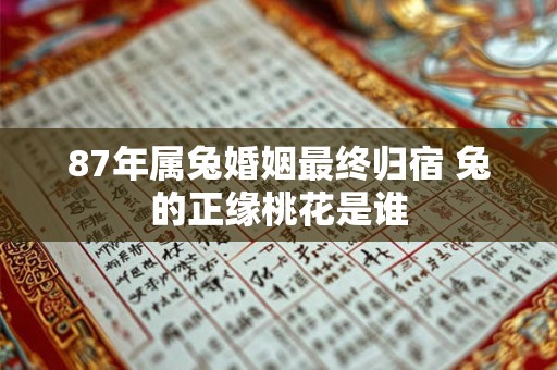 87年属兔婚姻最终归宿 兔的正缘桃花是谁